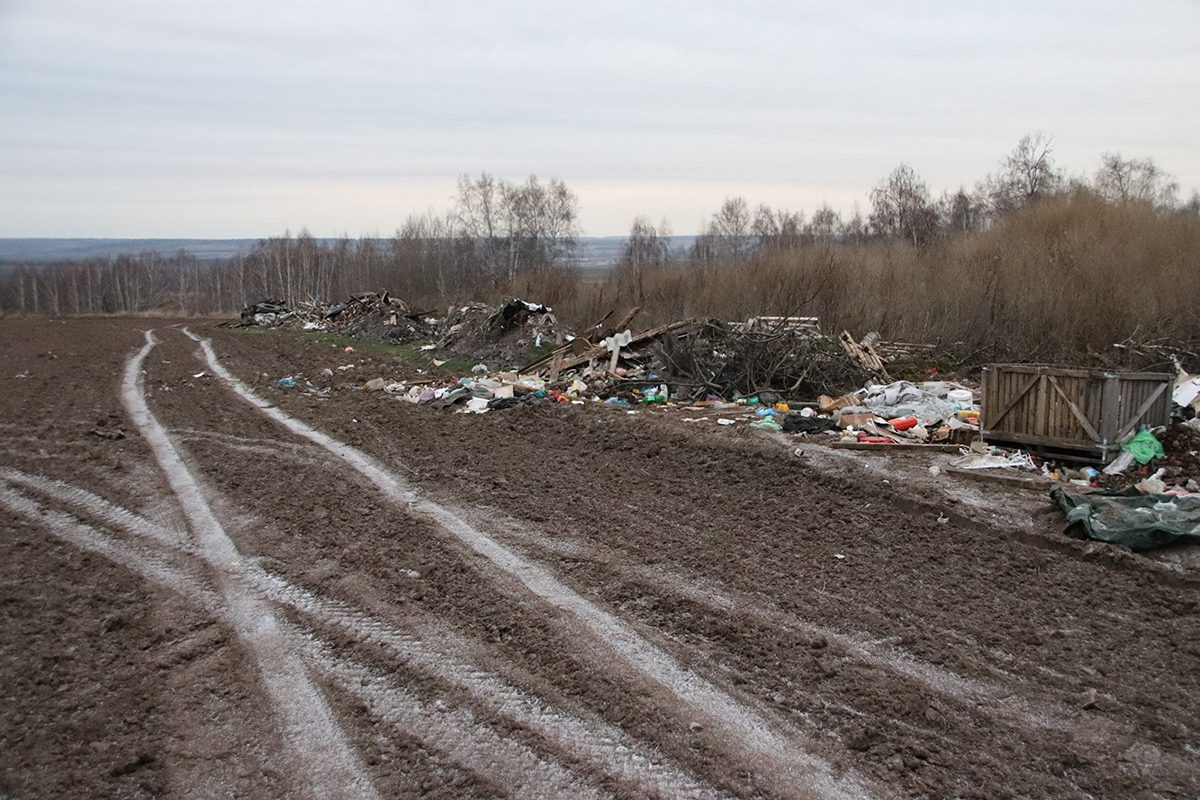 Ищут организаторов свалки под Кромами - Новости Орла и Орловской области  Орелтаймс