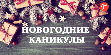 Орловцев в 2022 году ждут длинные новогодние каникулы