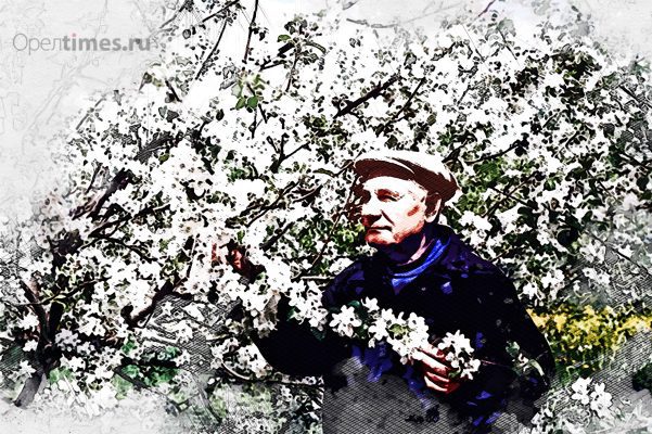 «Сладкая каторга» академика Седова