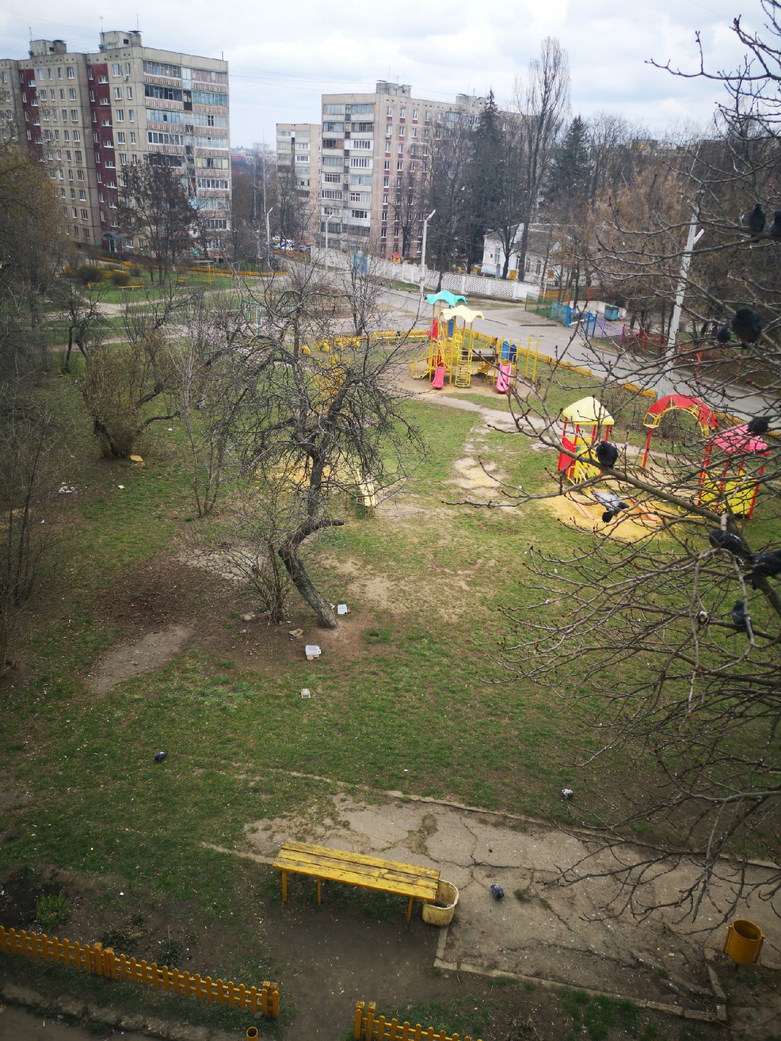 В Орле стали чаще смотреть в окна: зарисовки на удалёнке - Новости Орла и  Орловской области Орелтаймс