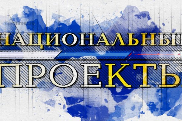 Депутаты Орловского облсовета рассказали о провалах нацпроектов и намекнули на виновных