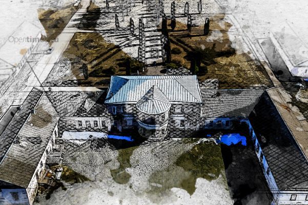 Реликтовый Шатиловский лес очистят от сухостоя