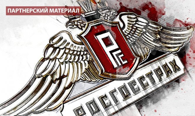«Росгосстрах»: самая крупная выплата за животных по ОСАГО была за зубра