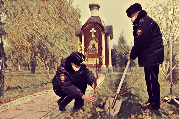 Под Орлом вокруг склепа высадили спирею