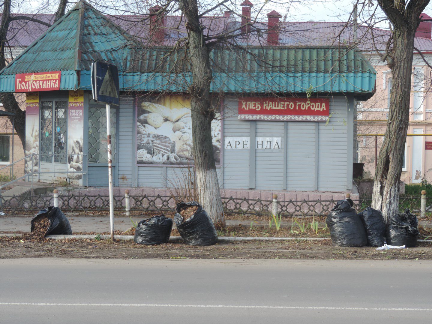 В Болхове решили «мариновать» опавшую листву - Новости Орла и Орловской  области Орелтаймс