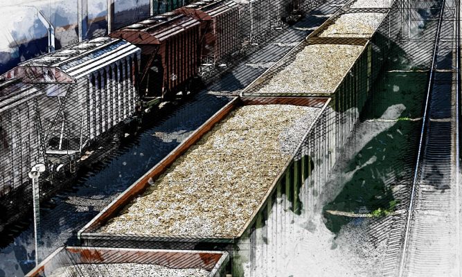 Орловские железные дороги приняли в 1,6 раза больше зерна