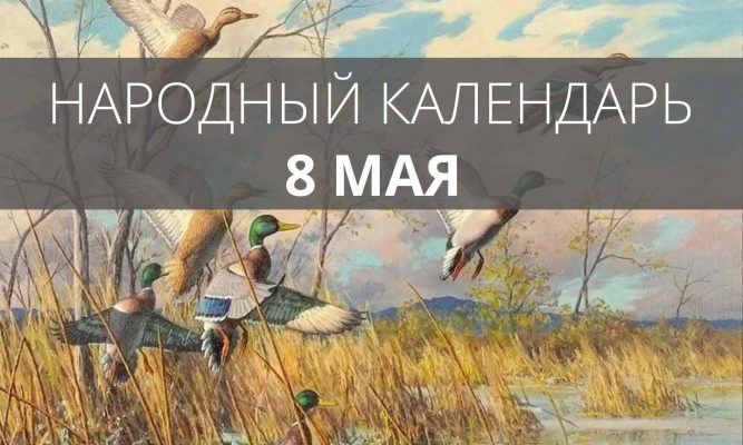 8 мая орловские предки кормили коноплёй птиц и вызывали дождь