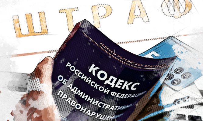 Орловчанку наказали рублём за кражу хризантем в горпарке