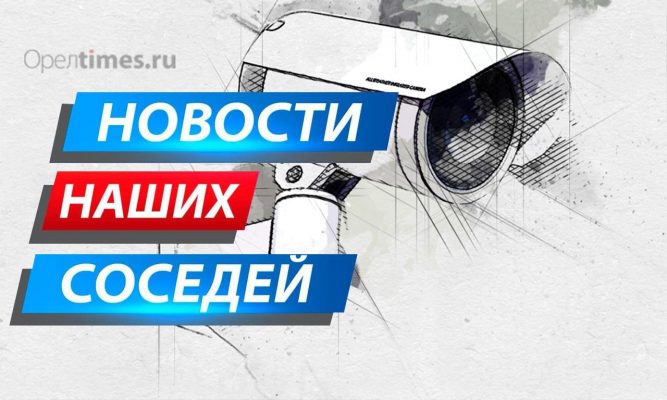 В Курске за собаками из приюта организовали онлайн наблюдение