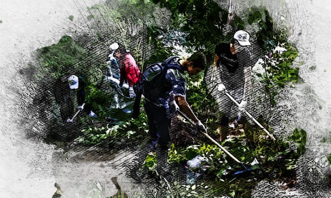 Экологические отряды Орла ждут подростков
