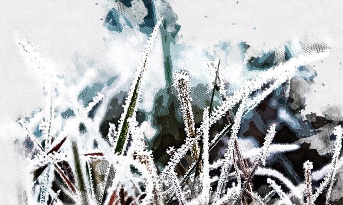 Синоптики советуют орловцам не рассчитывать на мягкий февраль