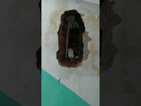 Дом в Орле заливает девятый день подряд