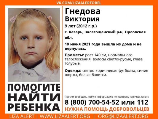 Поиск девятилетней орловчанки Вики Гнедовой приобрёл межрегиональный масштаб