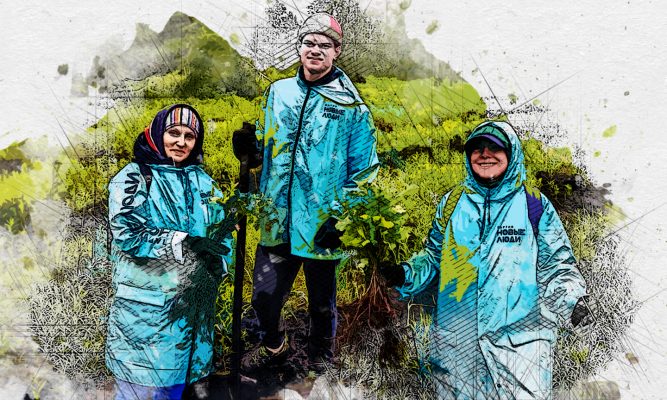 Партия «Новые люди» в День эколога подарила Орловской области дубовую рощу