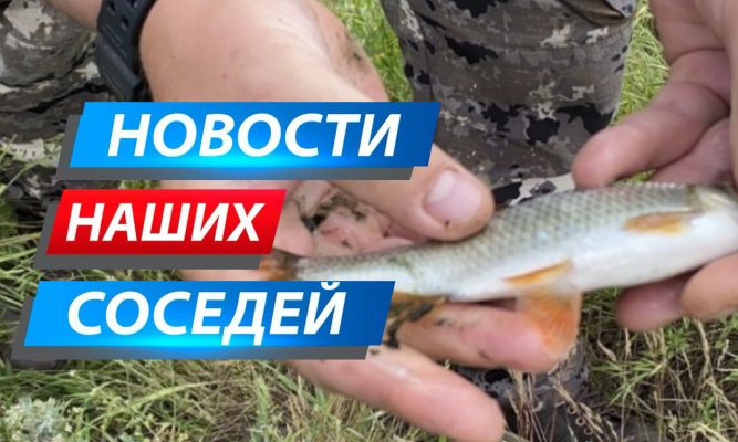 Рыбак из Курской области поймал рыбу в зелёной слизи