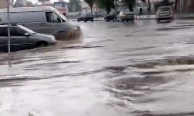 Орёл отправился в венецианский заплыв