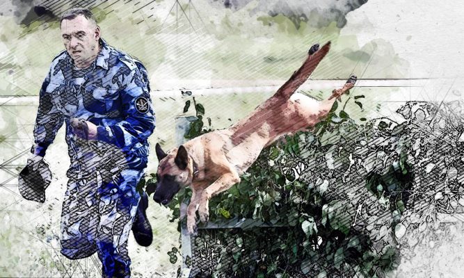 Орловская собака Жаклин стала лучшей в розыскном деле