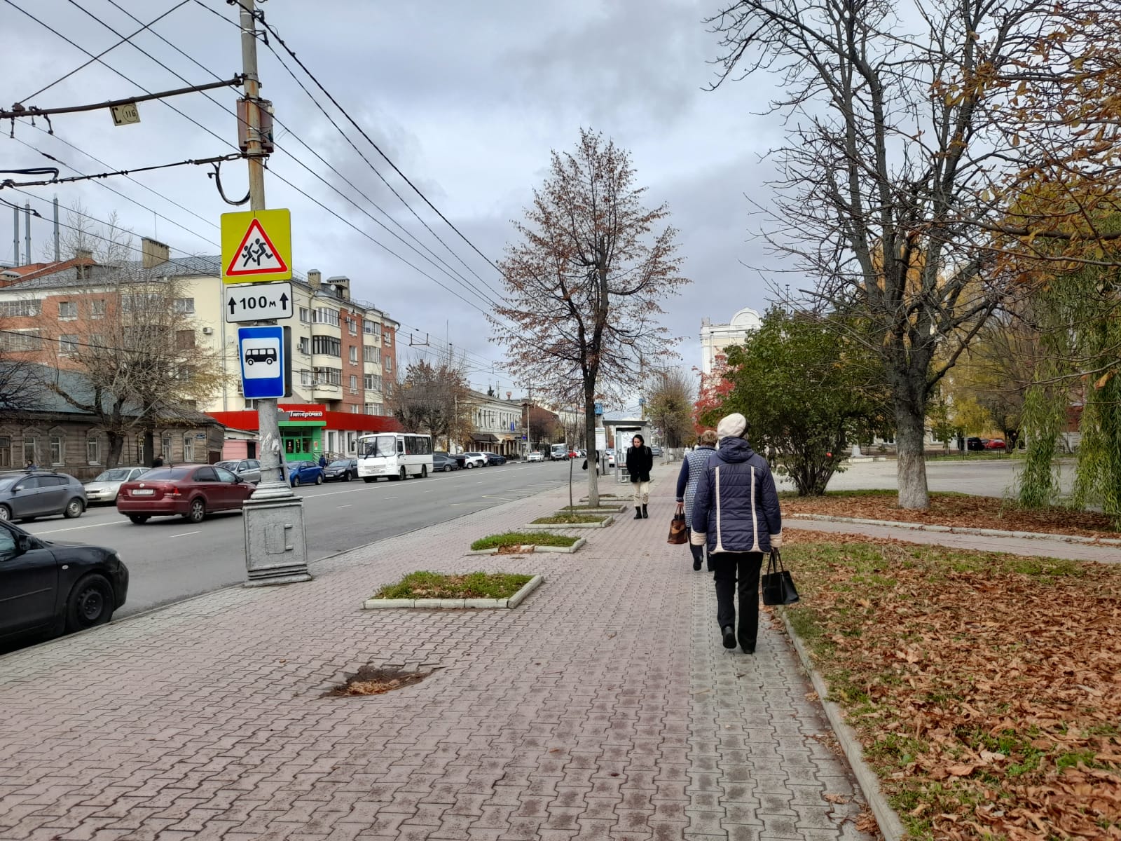 В Орле пилят деревья в угоду инфраструктуре и бизнесу | 20.10.2021 | Орел -  БезФормата