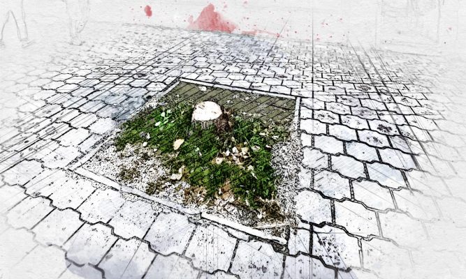 В Орле пилят деревья в угоду инфраструктуре и бизнесу