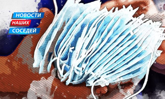 Маршрутка не тронется, пока все не наденут маски: власти Белгорода вводят новые требования