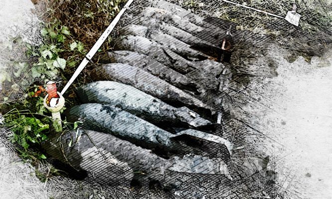 Под Орлом обнаружили 29 опасных находок из прошлого