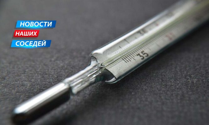 Заболеваемость ОРВИ в Белгородской области в три раза превысила эпидпорог