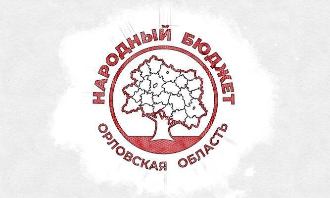 В Орле рассказали, на что уходит «народный бюджет»
