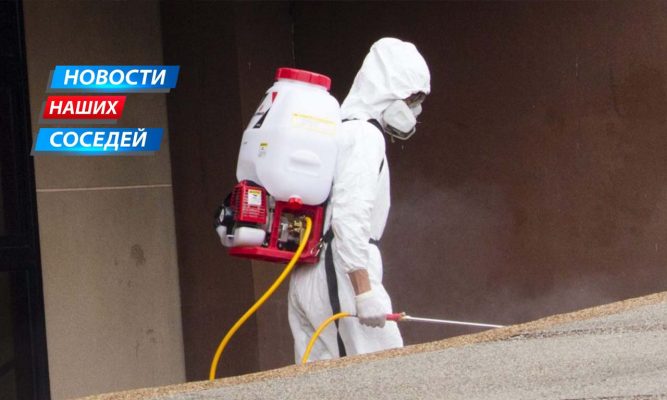 На брянской границе за сутки коронавирус зарегистрирован у 1137 человек