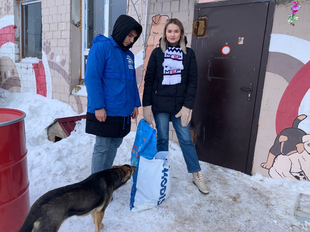 Собаки приют Кимовск. Собачий приют в Копейске. Мерч для приюта собак. Собачий приют в Выборге.