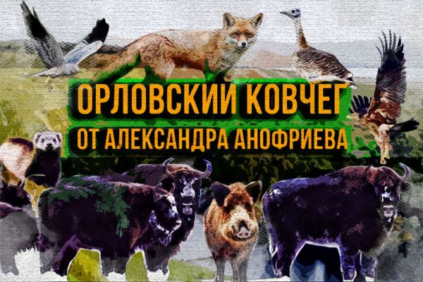 Почему бобр Картошка стал героем орловских репортажей