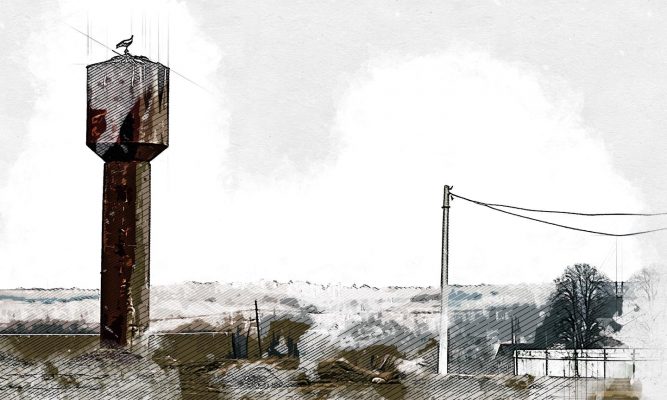 В селе Судбище Орловской области поселилось крылатое «чудо»