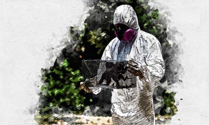 Оспа обезьян поражает людей и быстро распространяется по свету