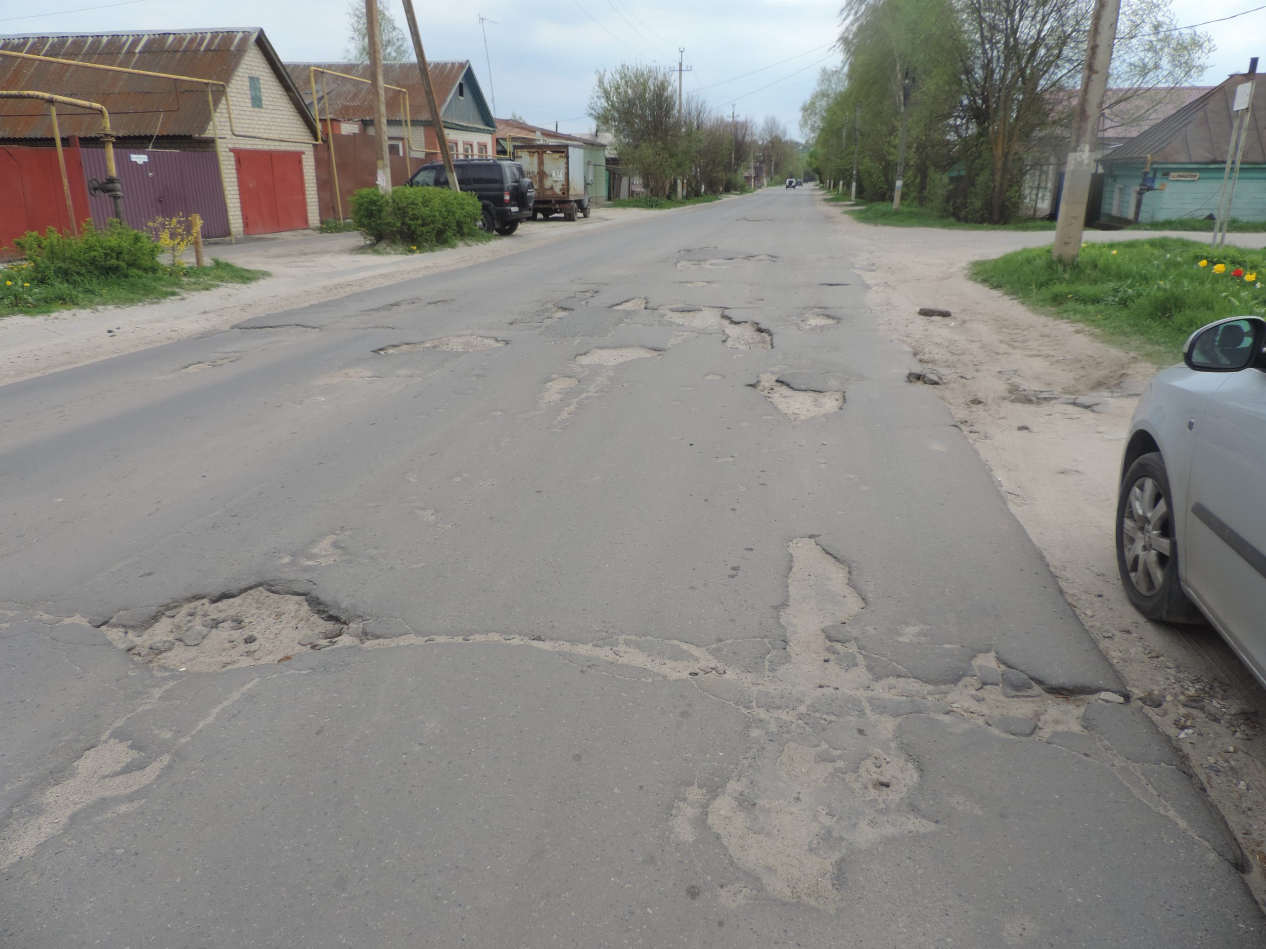 Под Орлом ямы на дорогах засаживают цветами | 15.05.2022 | Орел - БезФормата