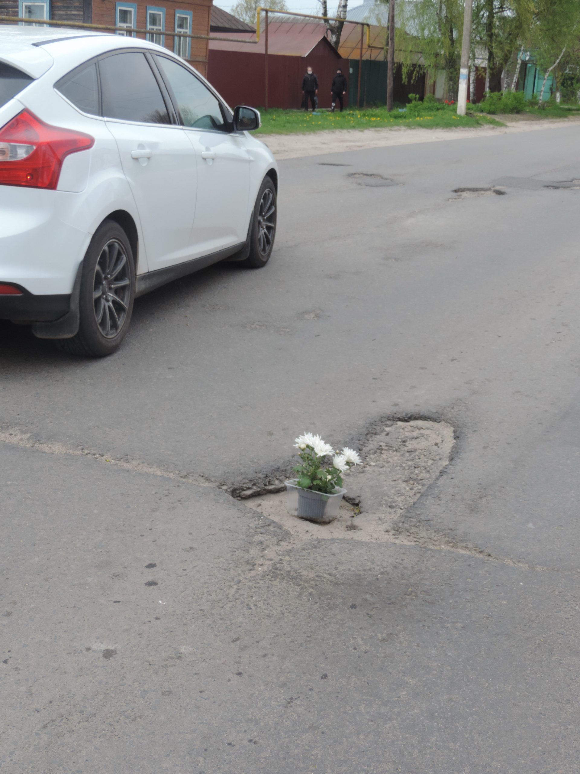 Под Орлом ямы на дорогах засаживают цветами | 15.05.2022 | Орел - БезФормата