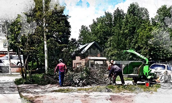 Орловцы просят Клычкова и Парахина остановить строительство автостоянки «для элитных родителей»