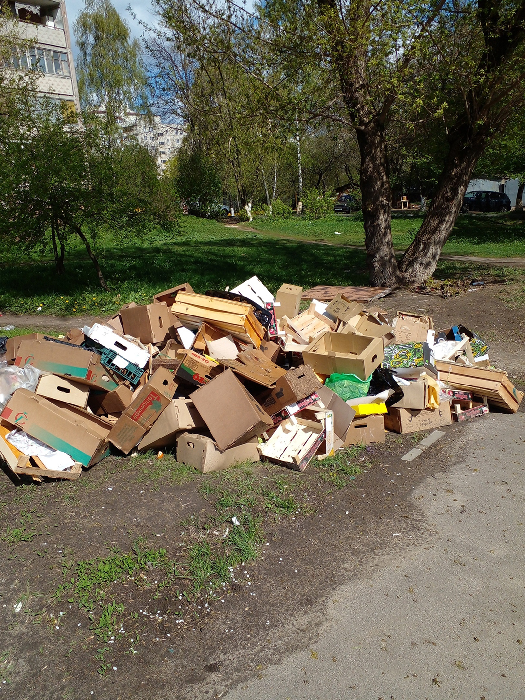 Орловцы жалуются на свалку во дворе после ярмарки выходного дня |  12.05.2022 | Орел - БезФормата