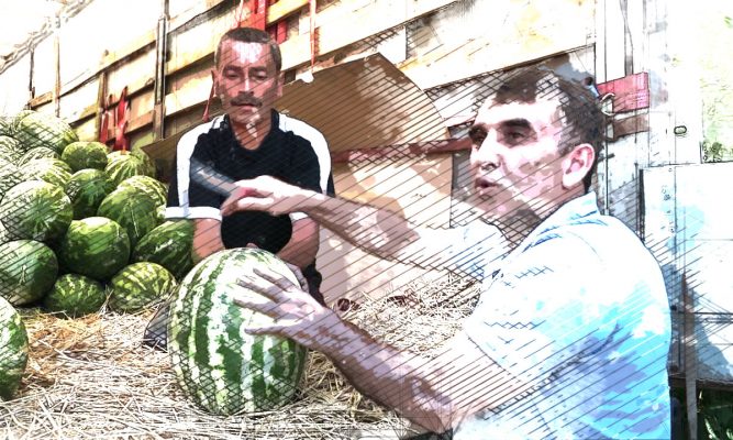 В Орле наступил арбузный бум