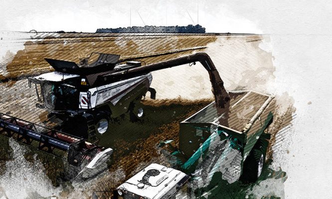 Рекорд: в Орловской области российский комбайн за 8 часов намолотил 400 тонн зерна