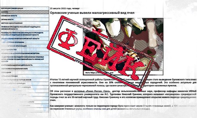 Правительство Орловской области распространило фейк о выводе в регионе миролюбивой породы пчёл