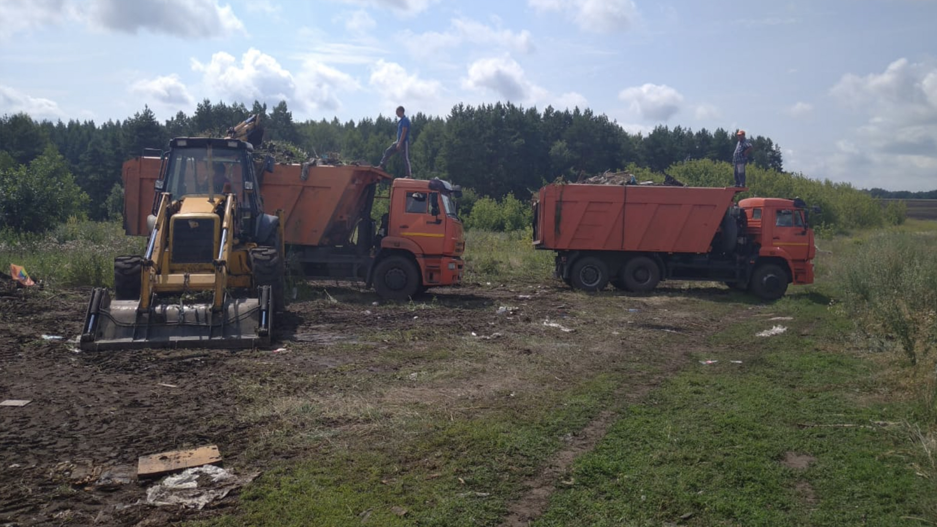 Зелёная роща» в этом году вывезла с несанкционированных свалок около тысячи  кубометров мусора - Новости Орла и Орловской области Орелтаймс