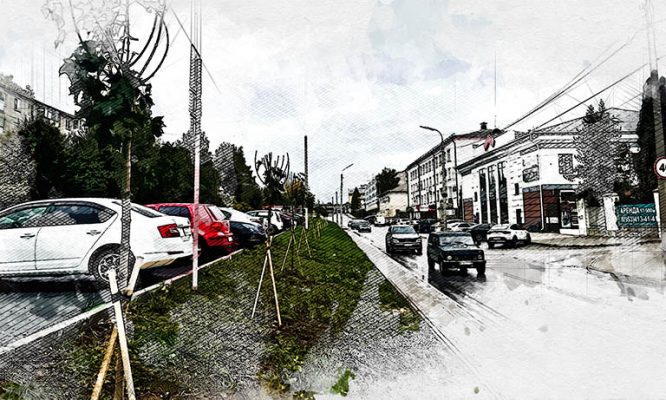 В Орле на Горького и Ломоносова высадили 102 клёна и 52 липы