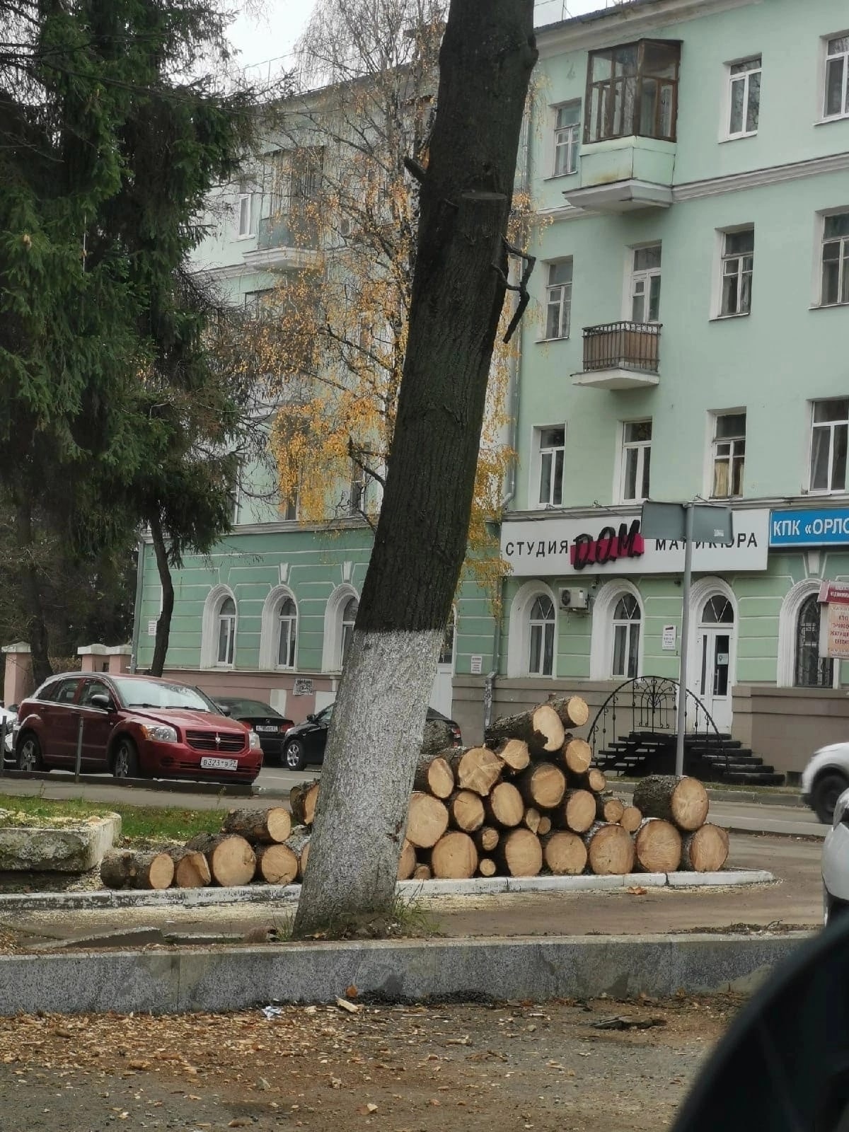 Орловцы заподозрили мэра Парахина в заинтересованности в массовой вырубке  деревьев | 18.11.2022 | Орел - БезФормата