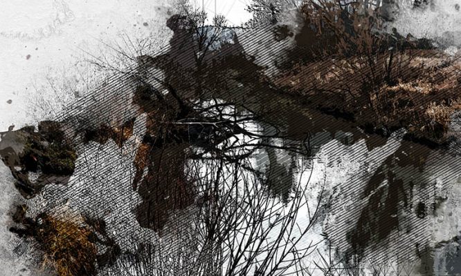 В Орловской области навозная жижа уничтожила рыбу в реке Навля