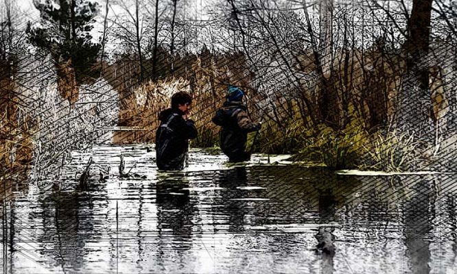 В «Орловском полесье» специалисты проводят перепись выхухолей