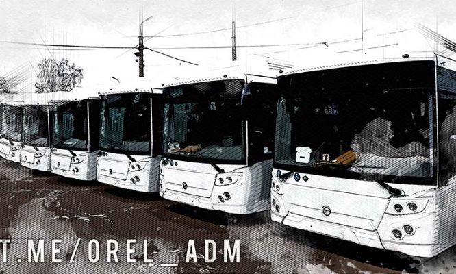 Мэрия Орла пообещала жителям Лужков пустить на маршрут новый ЛиАЗ