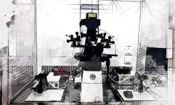 Орловские репродуктологи бьют тревогу из-за роста числа бесплодных мужчин