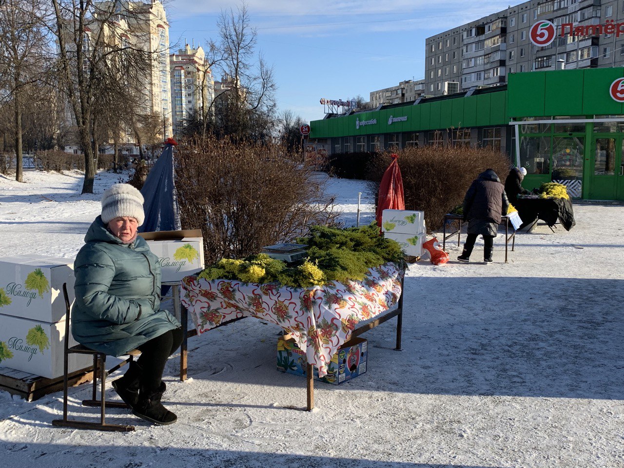 На улицах Орла торгуют магическим цветком, который помогает одиноким  привлечь любовь - Новости Орла и Орловской области Орелтаймс