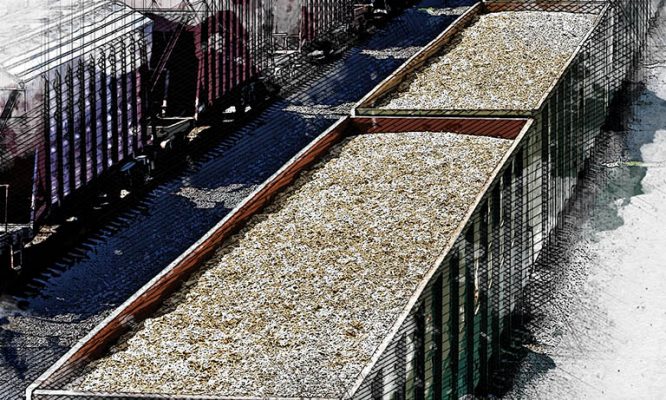 Орловская область значительно отстаёт от Курской в отгрузке зерна