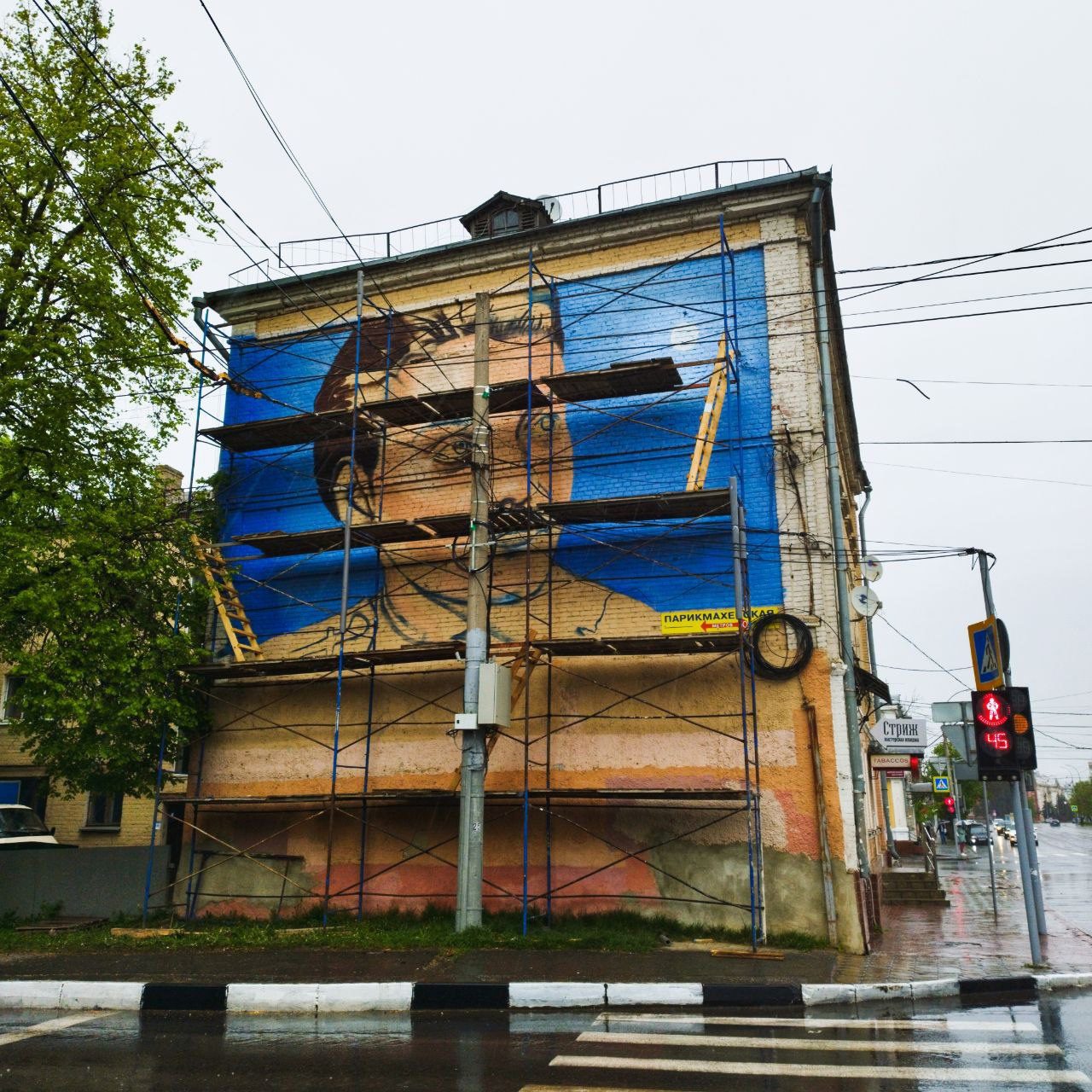 В Орле появилось граффити в честь легендарной лётчицы | 01.05.2023 | Орел -  БезФормата