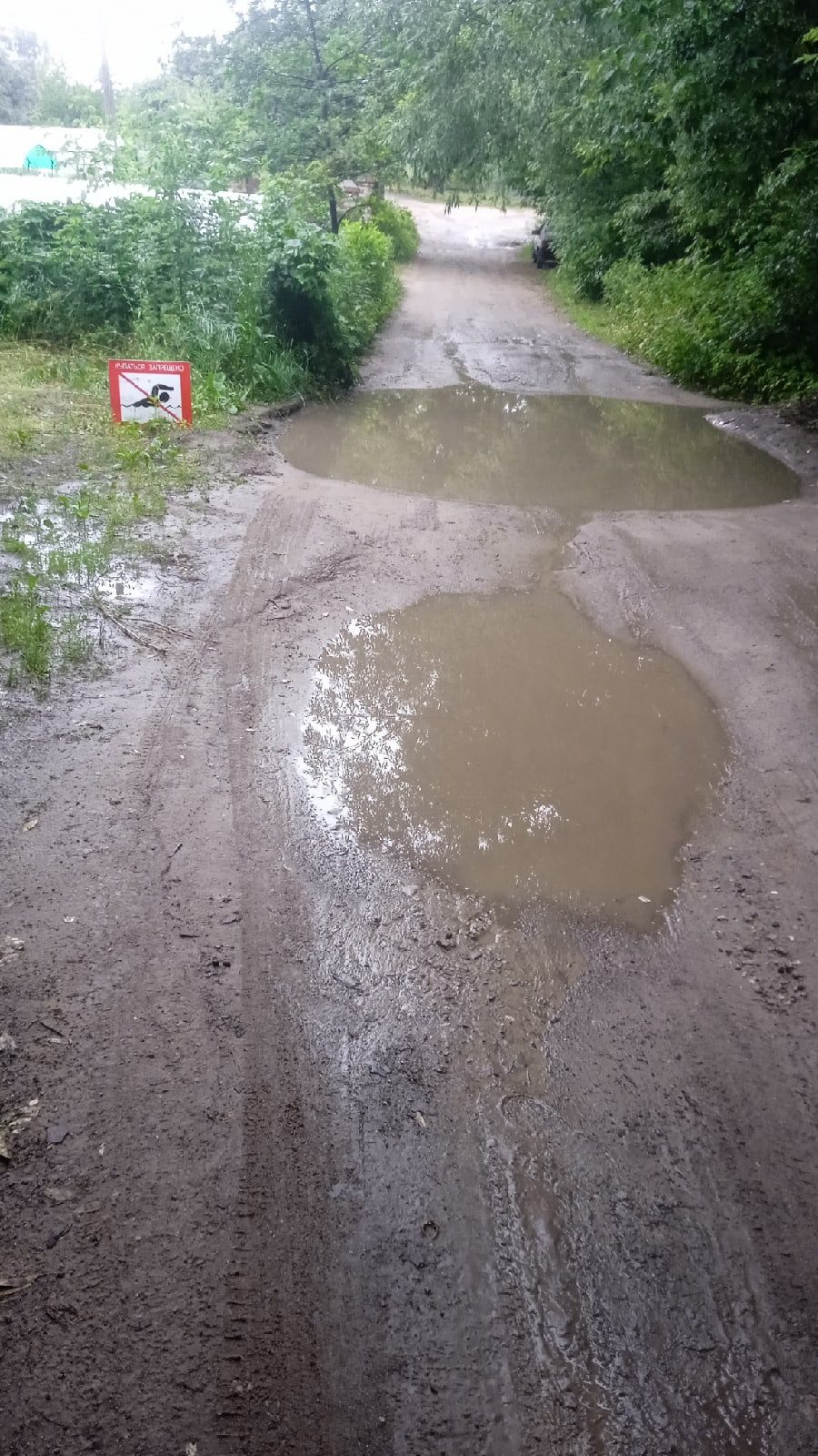 Возле луж. Бабочки возле лужи. Остановка возле лужи. Бытовка возле лужи.